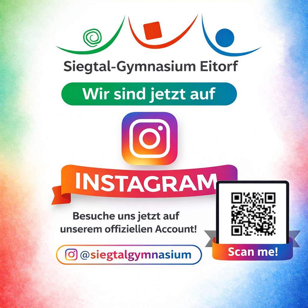 bild neu auf instagram SGE